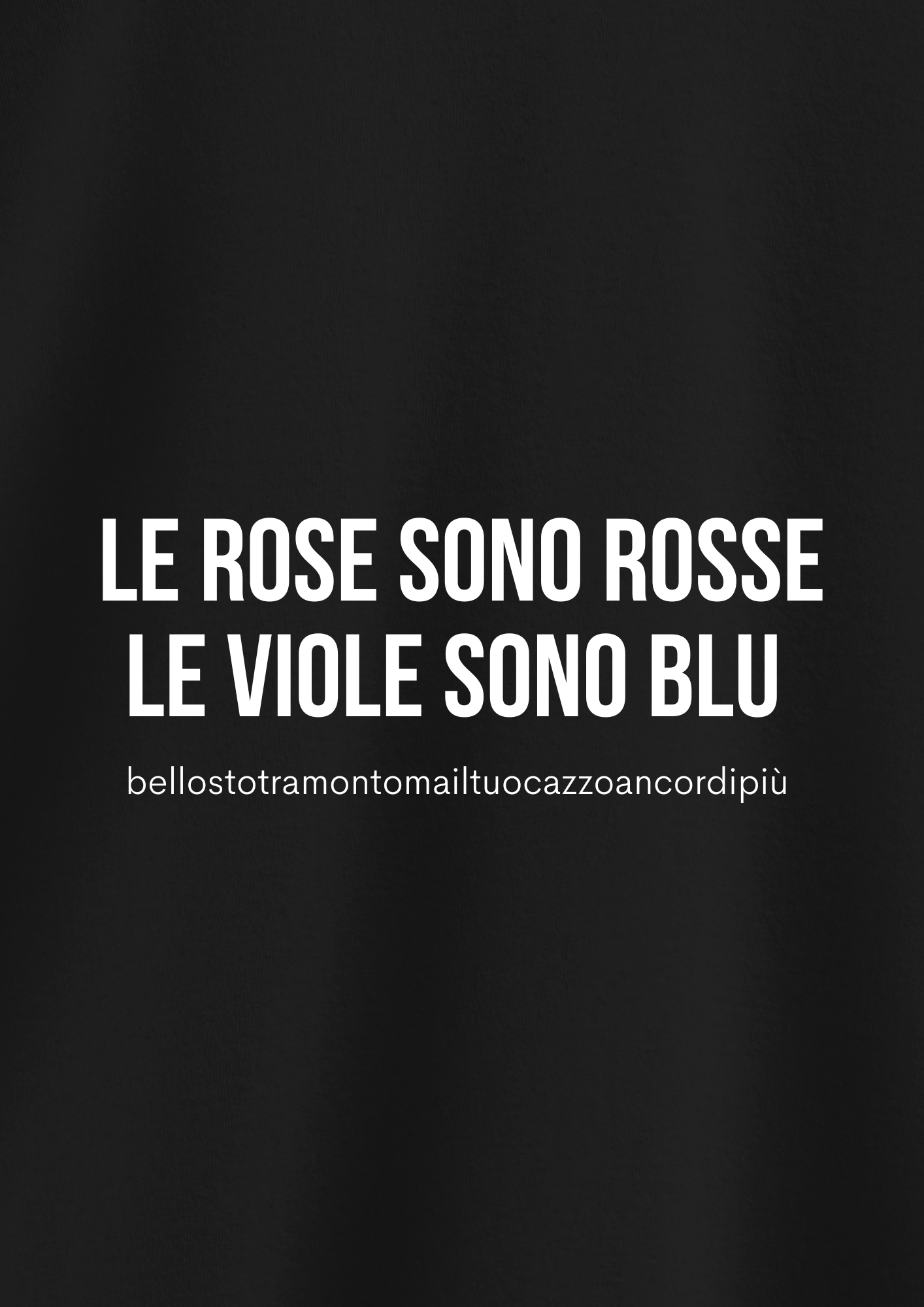 LE ROSE SONO ROSSE LE ROSE SONO BLU (bellostotramontomailtuocazzoancordipiù)